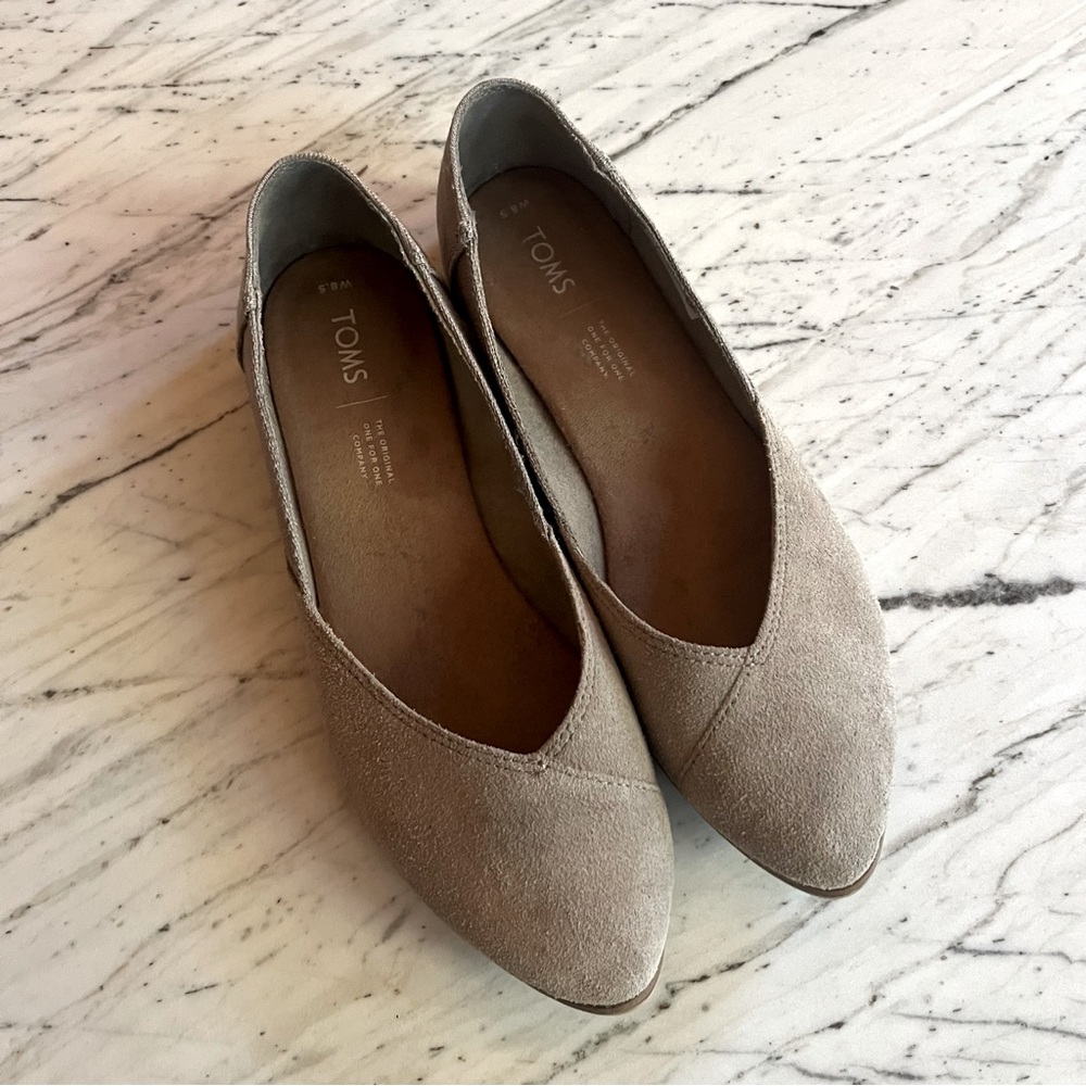 Toms ballet flats with pointed toe